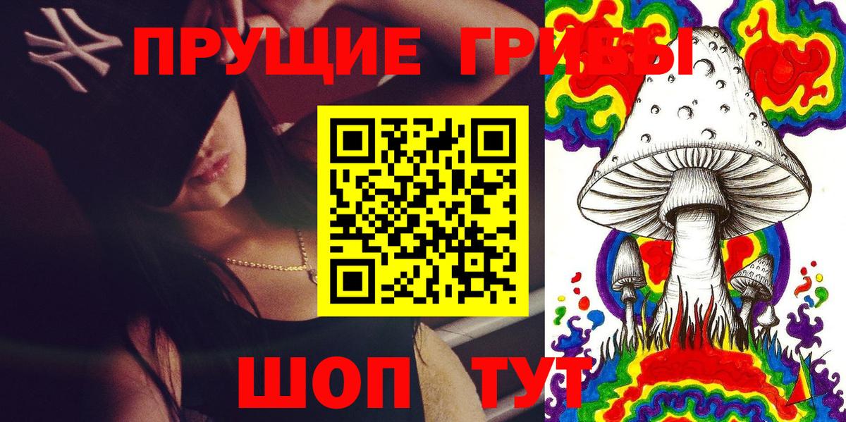 Балашов  Галлюциногенные грибы Cubensis  Вход с VPN 